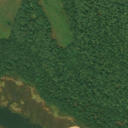 Satellite imagery of Great Neck, US
