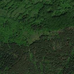 Satellite imagery of TT39, GR