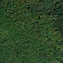 Satellite imagery of Colton Point, US