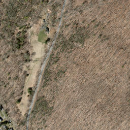 Satellite imagery of Willow Point, US