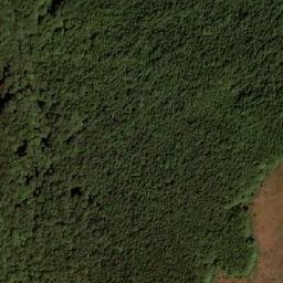 Satellite imagery of Divo Dujniče, MK