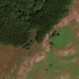 Satellite imagery of Divo Dujniče, MK