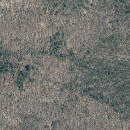Satellite imagery of Indian Rock, US