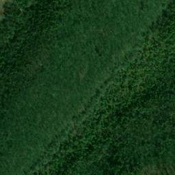 Satellite imagery of Gertrudes Nose, US