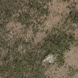 Satellite imagery of Cheeree Point, US