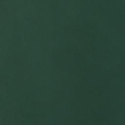 Satellite imagery of Piney Point, US