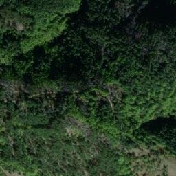 Satellite imagery of TT19, GR