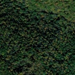 Satellite imagery of Access Point, US