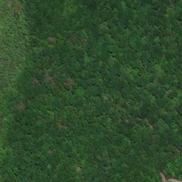 Satellite imagery of Bristol Neck, US