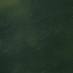 Satellite imagery of Point Comfort, US