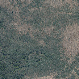 Satellite imagery of Sams Point, US