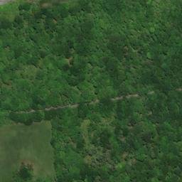 Satellite imagery of Bristol Neck, US