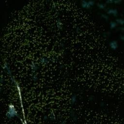 Satellite imagery of Karadzhitsa, BG