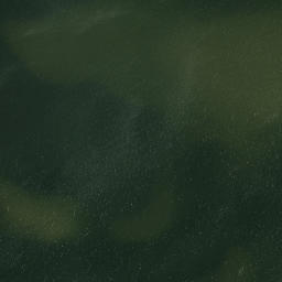 Satellite imagery of Point Comfort, US
