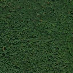 Satellite imagery of Chestnut Ridge, US