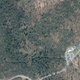 Satellite imagery of Sams Point, US
