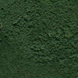 Satellite imagery of Chestnut Ridge, US