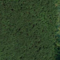 Satellite imagery of Sams Point, US
