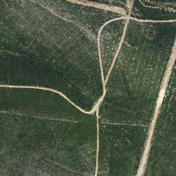 Satellite imagery of survey_point, PT
