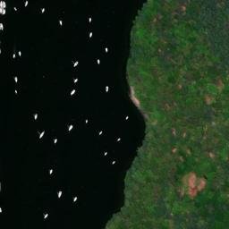 Satellite imagery of Long Point, US