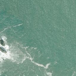 Satellite imagery of Midway Point, US