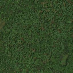 Satellite imagery of Sugar Ridge, US