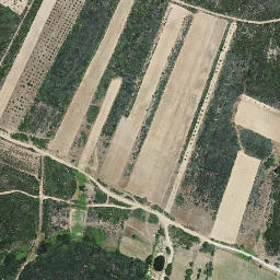 Satellite imagery of survey_point, PT