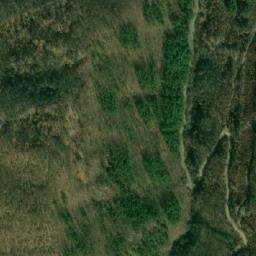 Satellite imagery of Balkov Dab, MK