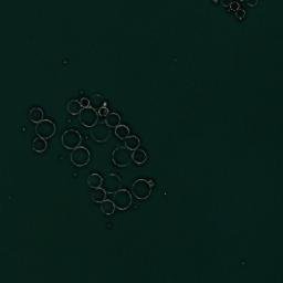 Satellite imagery of TT-9488, GR