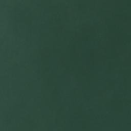 Satellite imagery of Ned Point, US