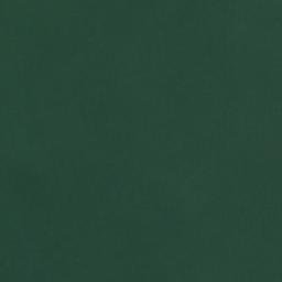 Satellite imagery of Point Connett, US