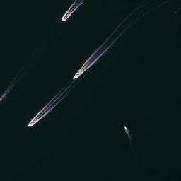 Satellite imagery of Ferry Cliff, US
