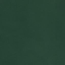 Satellite imagery of Angelica Point, US
