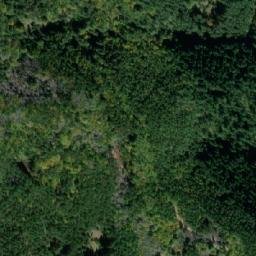 Satellite imagery of TT33/VII/, GR