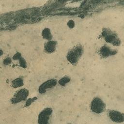 Satellite imagery of S 117 — NGS MP0390 — Sweetwater County, US, US