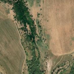 Satellite imagery of survey_point, KZ