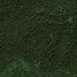 Satellite imagery of Videnitsa, BG