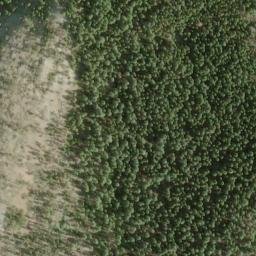 Satellite imagery of Buck Camp Ridge, US