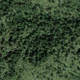 Satellite imagery of Lems Ridge, US