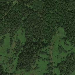 Satellite imagery of Videnitsa, BG