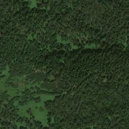 Satellite imagery of Videnitsa, BG