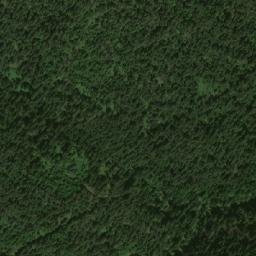 Satellite imagery of Videnitsa, BG