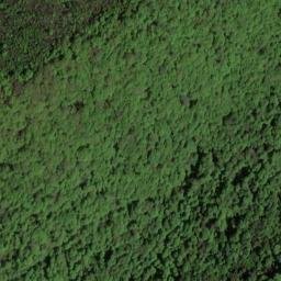 Satellite imagery of Hickory Ridge, US