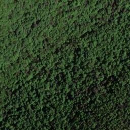 Satellite imagery of Hickory Ridge, US