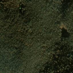 Satellite imagery of Crkolnica, MK