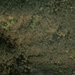 Satellite imagery of Dimkovica, MK