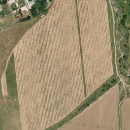 Satellite imagery of survey_point, KZ