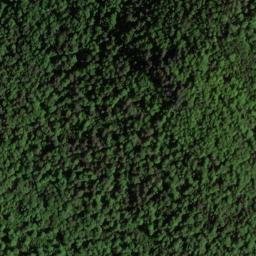 Satellite imagery of Hickory Ridge, US