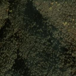 Satellite imagery of Dimkovica, MK