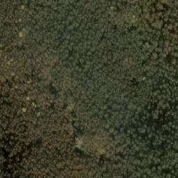 Satellite imagery of Dimkovica, MK